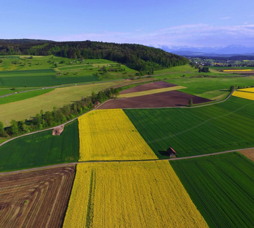 Agricultural and Farm Lands